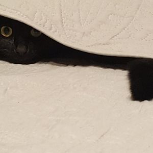 Meet your Posher, Katherine